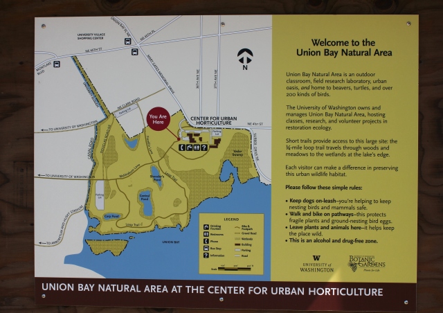 grow and resist park spotlight union bay natural area